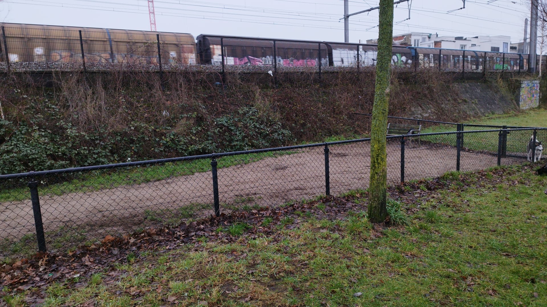 Hondenloopzone