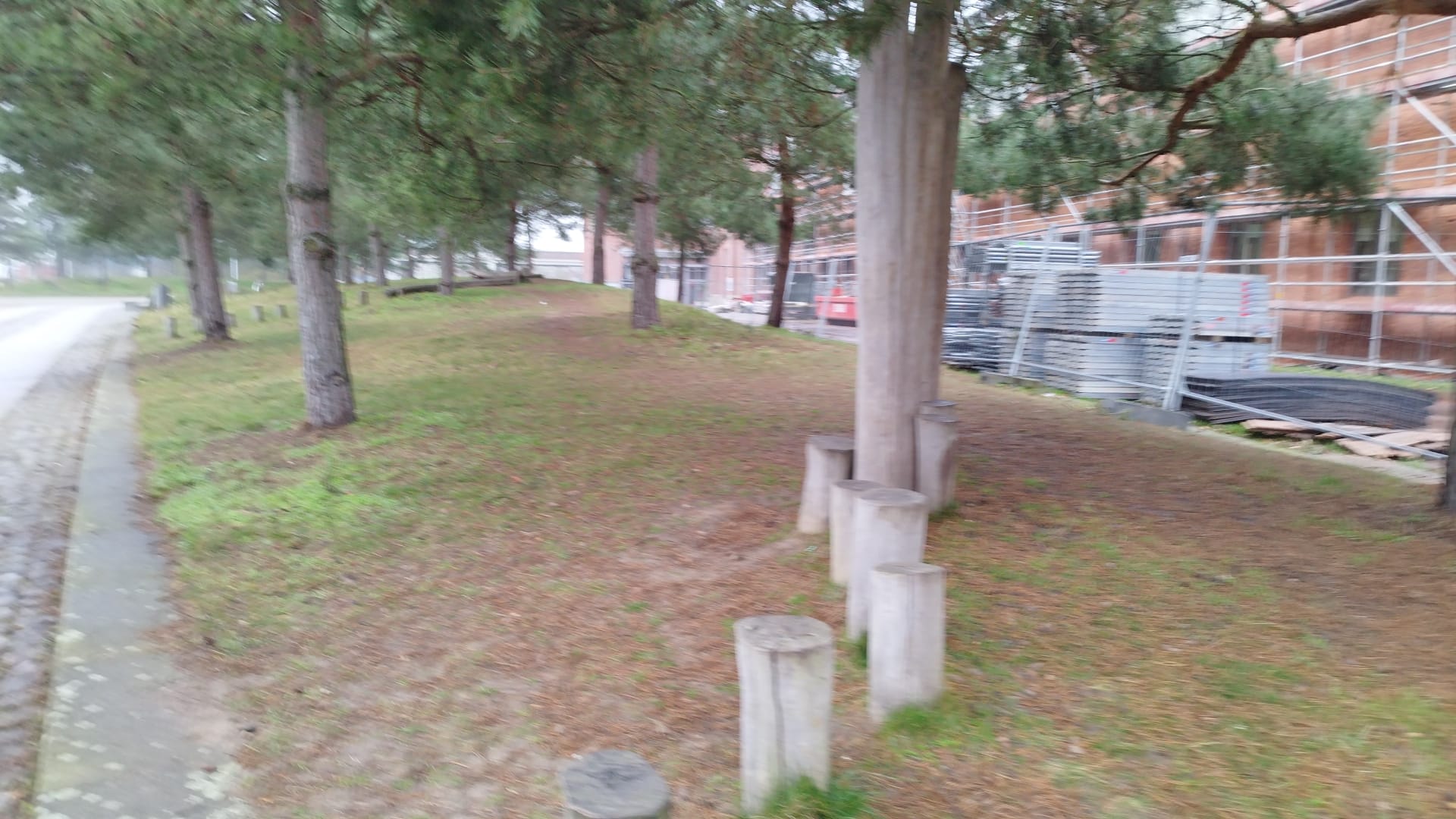 Bomen Parkour