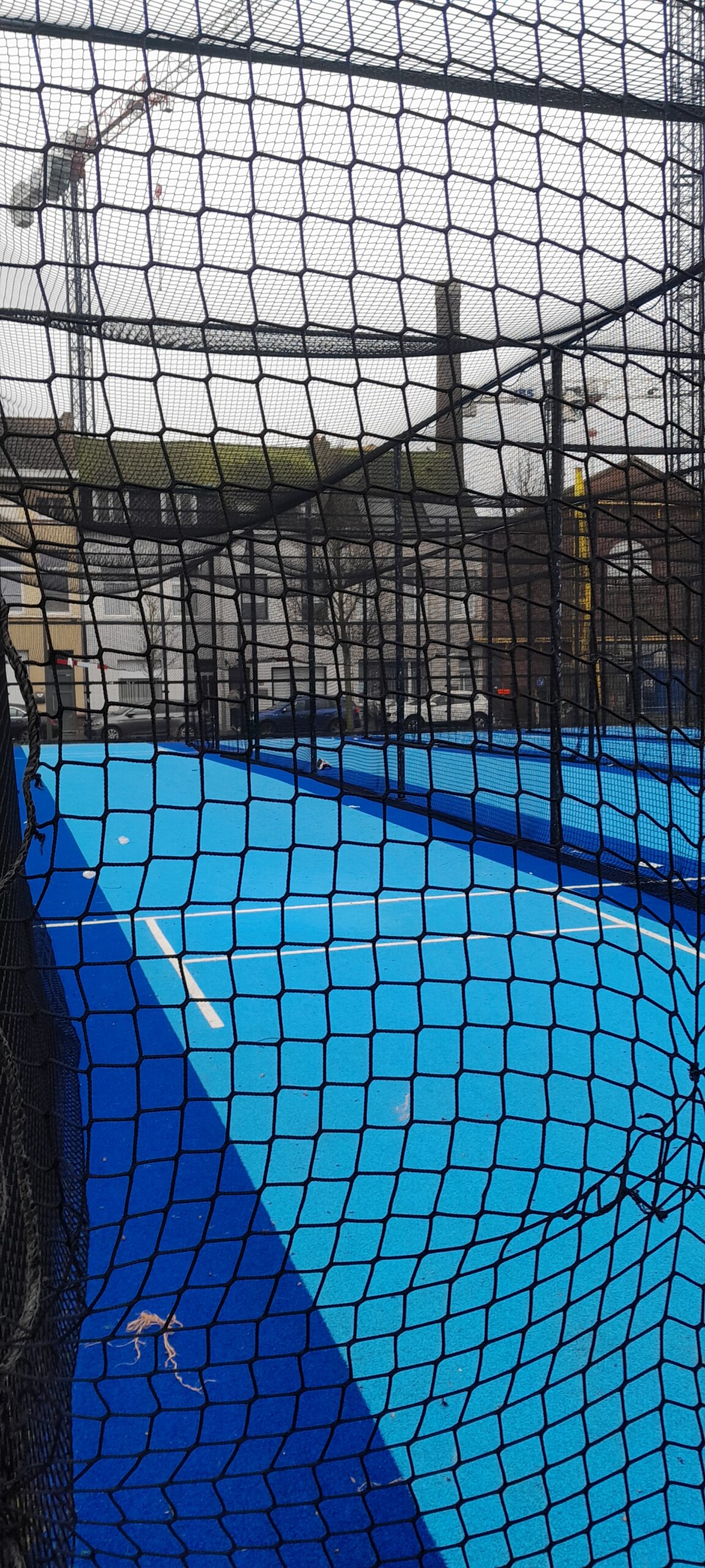 Cricketveld